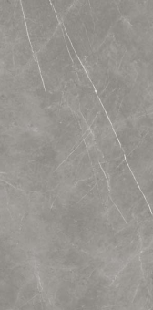 Керамогранит Atlas Concorde Forte Dei Marmi Elegant Grey Lap 80x160 