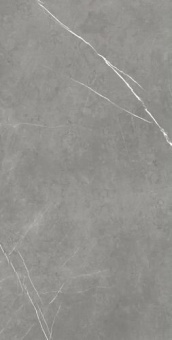 Керамогранит Atlas Concorde Forte Dei Marmi Elegant Grey Rett 80x160 