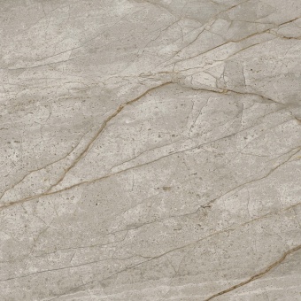 Керамогранит Atlas Concorde Russia Empire Silver Root 60x60 