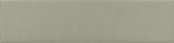 EQUIPE COSTA NOVA TANSY GREEN MATT  5Х20 