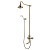 Душевая система LEMARK VILLA бронзовая LM4862B