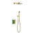 Душевая система Petruma SX-5059/17SM термо встраиваемая, браш золото