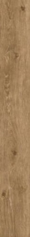 Керамогранит Atlas Concorde Wine Oak Cabernet Rett 20x160  